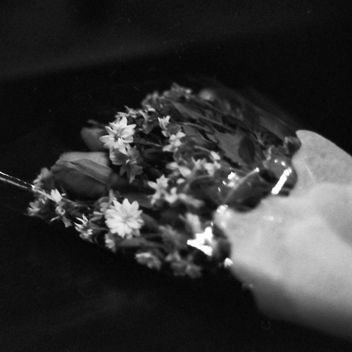 SR006 Amazondotcom - War Bride