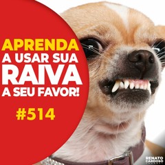 #514: APRENDA A USAR SUA RAIVA AO SEU FAVOR