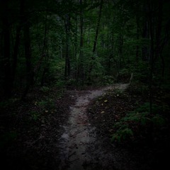 Running Through the Forest