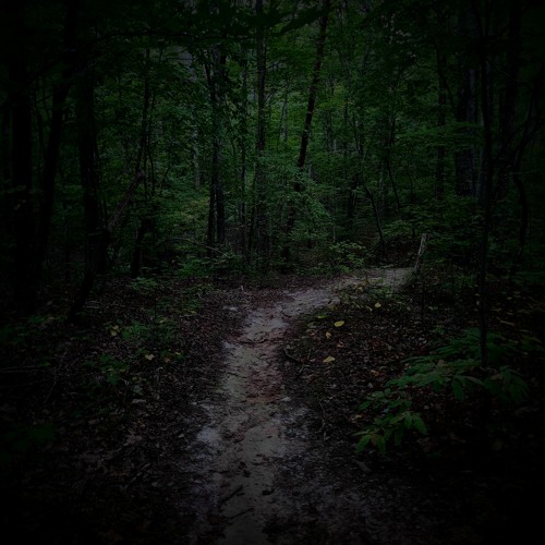 Running Through the Forest