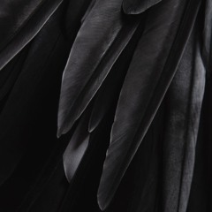 So called House Music.mp3