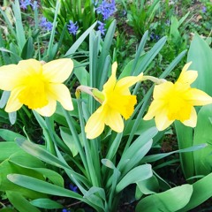 Deep Island Paradise..