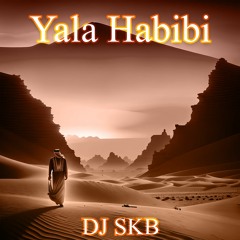 DJ SKB - Yala Habibi /  هو قلبي وشريانو ـ يلا حبيبي