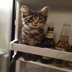 kkamiistar - gimmie head ##smirknation // #😏🍎 #🌟