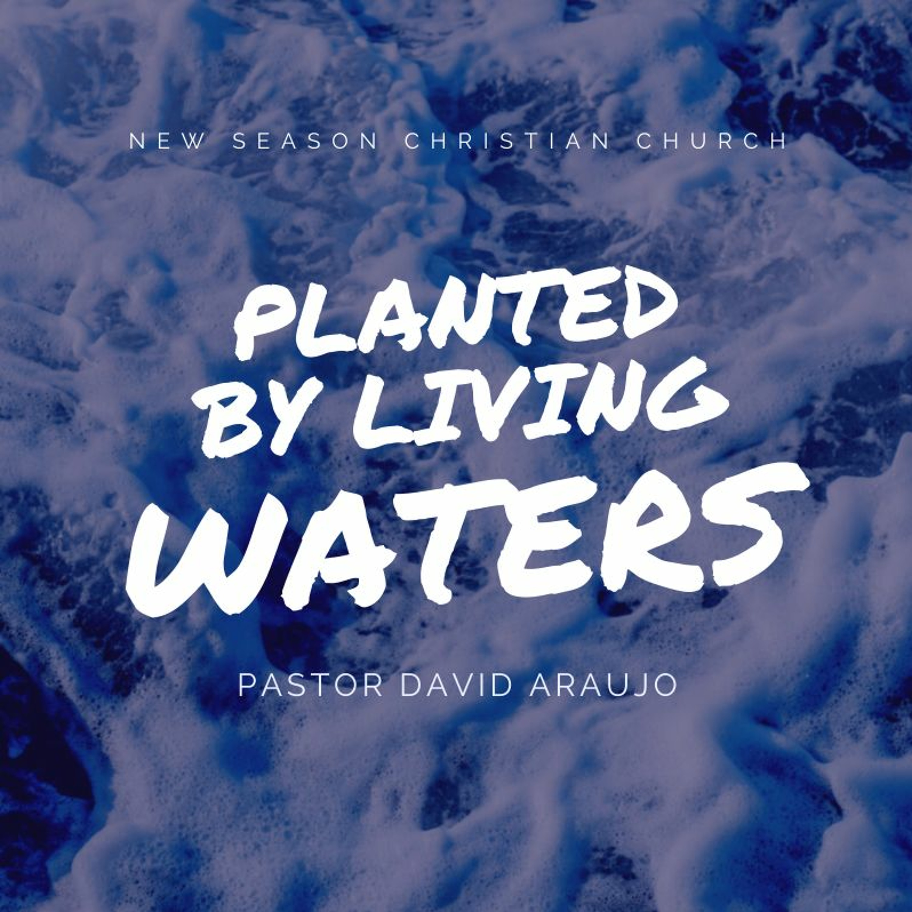 Planted By Living Waters :: Pastor David Araujo :: 12.12.2021 episode artwork