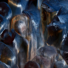 Resurge
