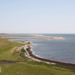 nordspetsen