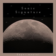 Experimental Feedback