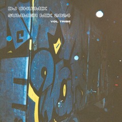 Dj Chuimix Summer Mix 2024  __ Vol. Tribe