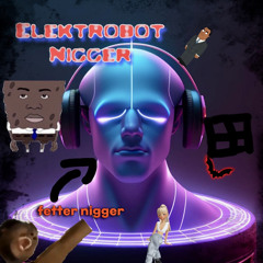 Elektrobot Nigger