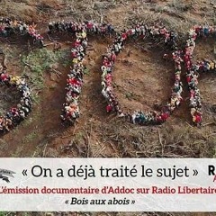 On a déjà traité le sujet ! 04/04/21 "Bois aux abois"