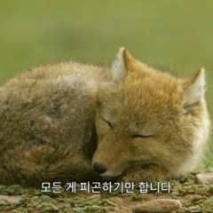한로로 첫번째 단콘 - 사랑하게 될거야