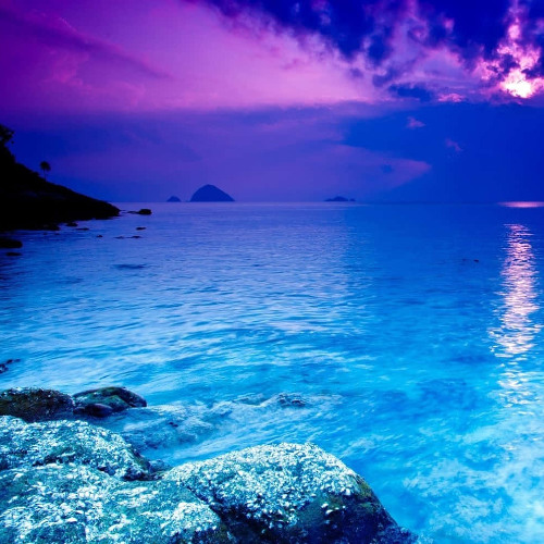 Stranded