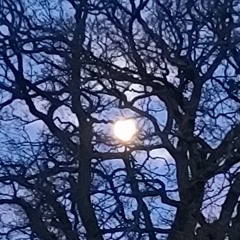 end, out and overdub