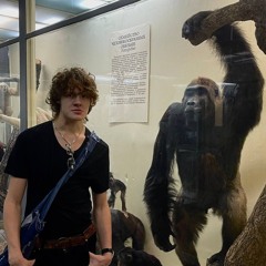 огромная палка (prod. Pawl4k)