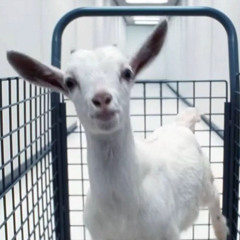 Severance Title Remix D&B