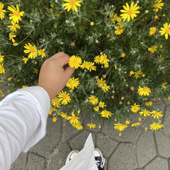 김현창 - 오후