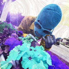 CenterOfMind's