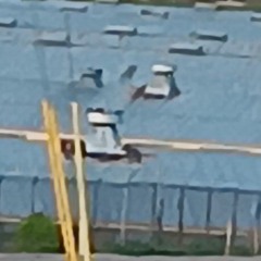 $UICIDALRUNUP! PROD. MEMENTO