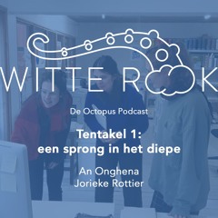 Octopus 01 Spronginhetdiepe