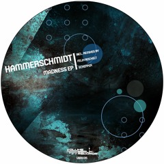Hammerschmidt - Madness (Original Mix)VBR035