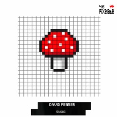 David Fesser - Swag (PIXELATE46)