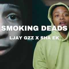 Ljay Gzz X Sha Ek - SMOKING DEADS [Prod. @vestxsg]