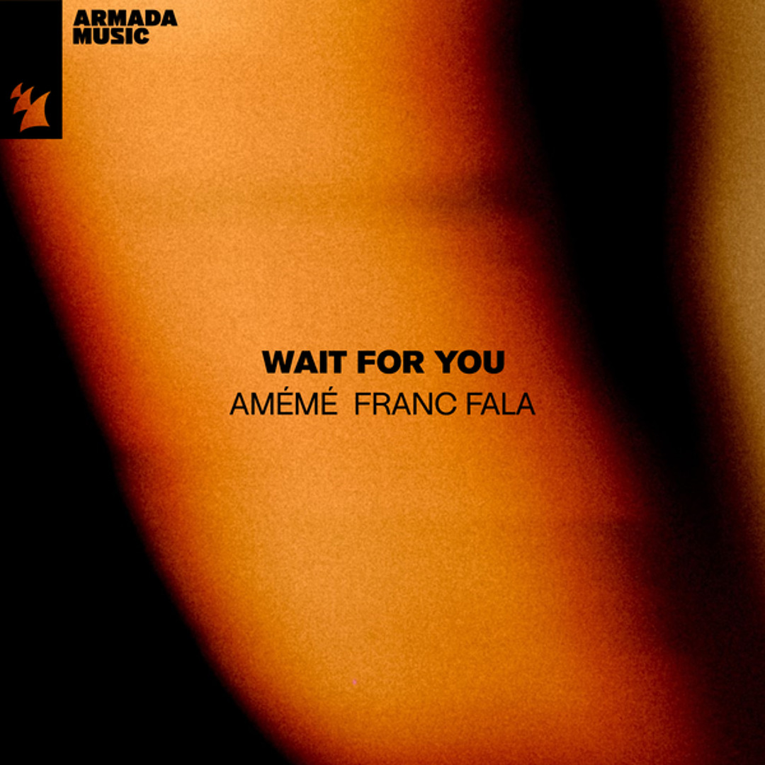洋楽 Fatima feat Floating Points - Follow You Fatima – Follow You – Vinyl (12