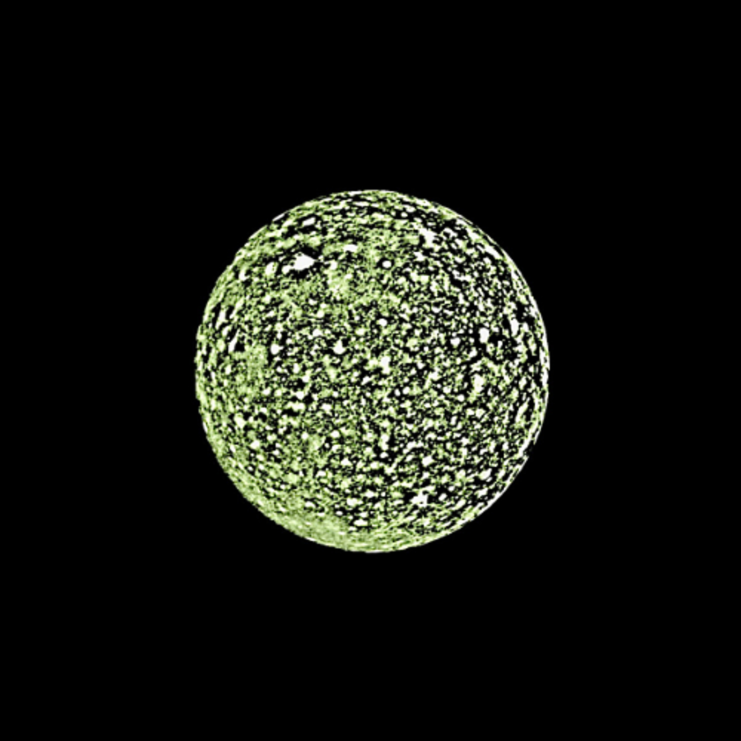 PREMIERE : Phasmid - Callisto