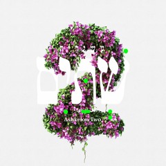 T e N e T Collection