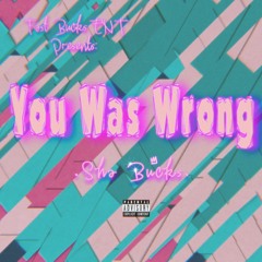 You Was Wrong (Official Audio)