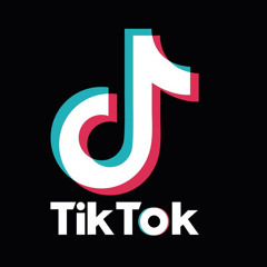 TikTok 2020 - Minute Mashup by O S K I