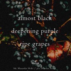 deepening purple [naviarhaiku619]