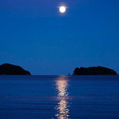 ‎⁨آيات السكينة لدفع القلق والهموم | احمد النفيس