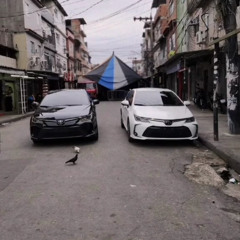 corolla tropa da nova 🚘🇳🇱🕺🏾