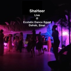 Opening Set Live @ Ecstatic Dance Egypt, Dahab, Activation - 432 Hz Multidimensional Cosmic Music