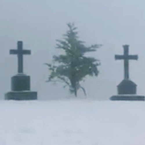 Stream Tree of Heaven OST His Whistle (Miss Whistles Cover).mp3 by