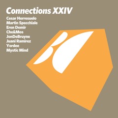 VA - Connections, Vol. XXIV