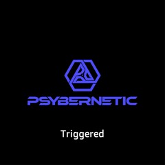 Triggered (Original Mix)