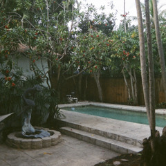 reef