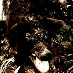 [FREE] DISTORTED TRAP METAL WARFILL X PRXJEK X NATEC TYPE BEAT - "MUTILATION"