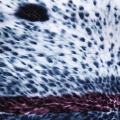 ersatz-dancing