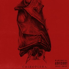 Chiroptera (Prod Ygd)