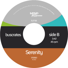 洋楽 SUBATOMIC SOUND SYSTEM / BASTARD JAZZ Home