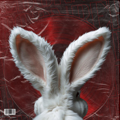 WR Beats - TO COBERTO (RED RABBITS REMIX)