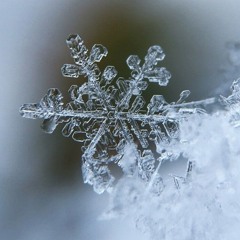 Snowflakes & Sweet Tea