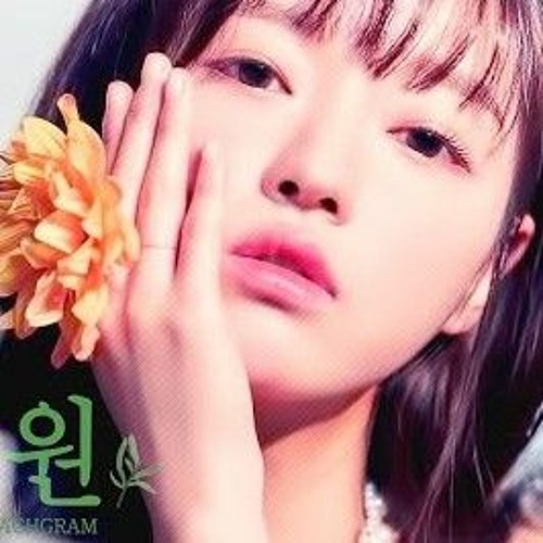 비밀정원