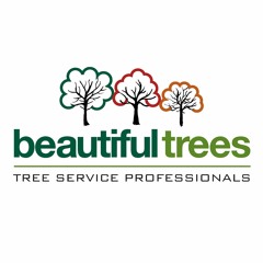 Early Spring Tree Care