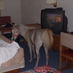Orion (PONY Mix)