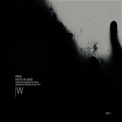 PWCCA - Path Of The Abyss IW011 out !!
